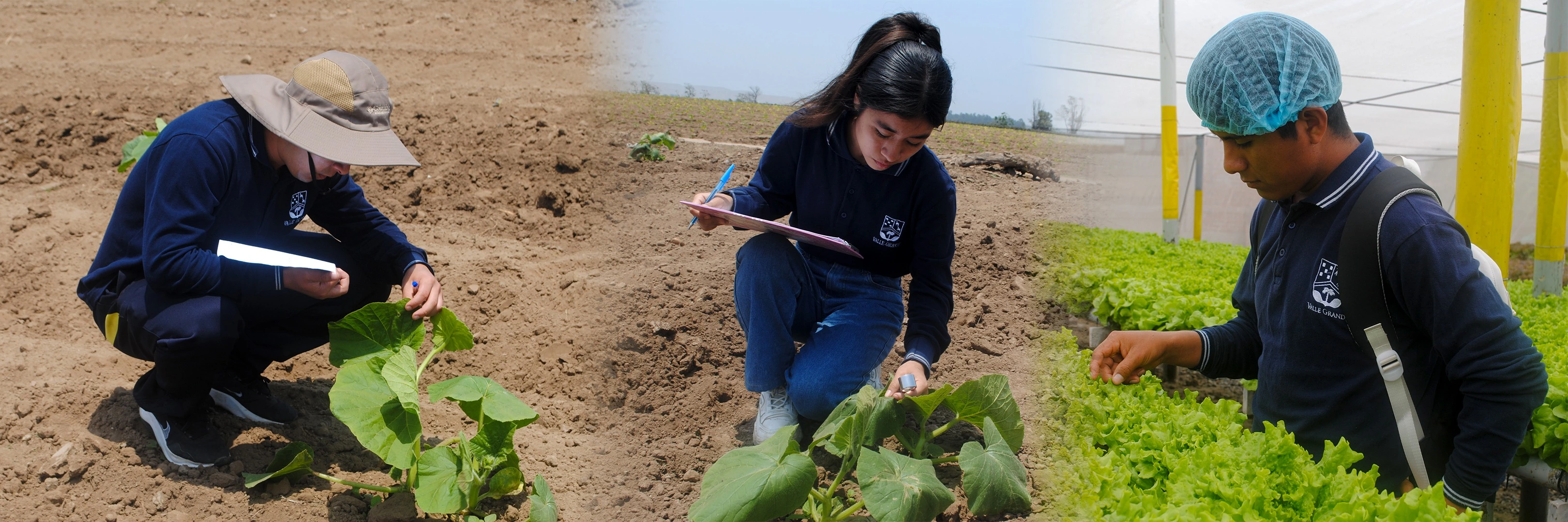 Agricultura Valle Grande
