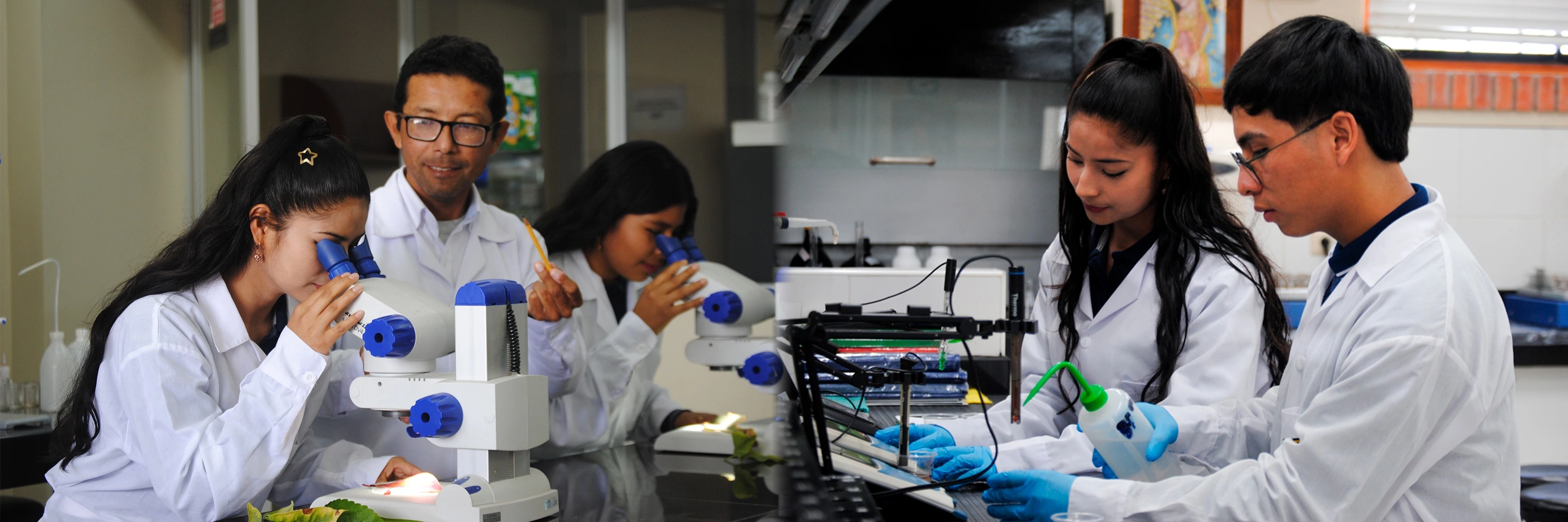 Laboratorio Docente Valle Grande